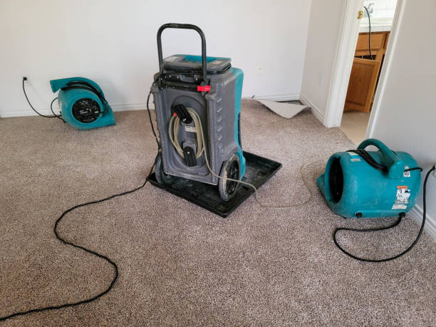 Best 24-hour water damage restoration  in College Park, GA