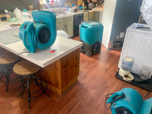 Best Water damage restoration near me  in College Park, GA