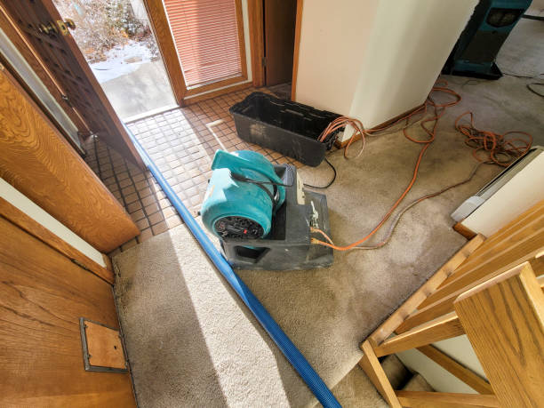Best Basement water damage restoration  in College Park, GA