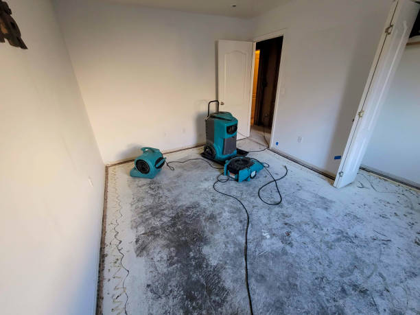 Best Water damage cleanup near me  in College Park, GA