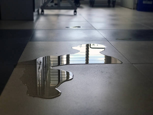 Best Professional water damage repair  in College Park, GA