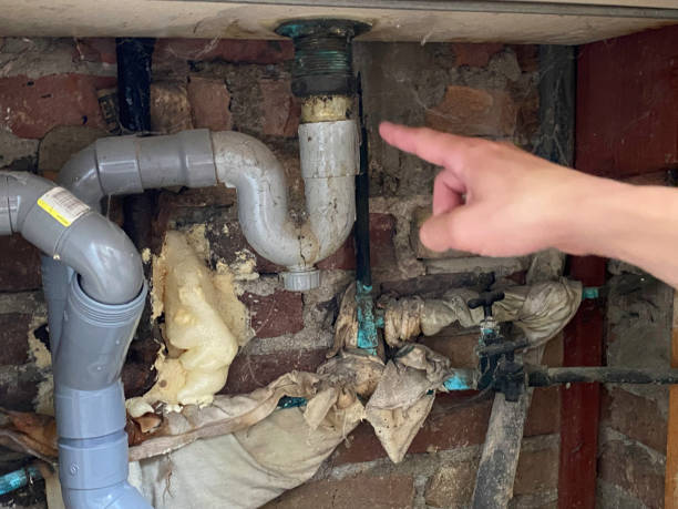 Best Sewage cleanup and water damage restoration  in College Park, GA