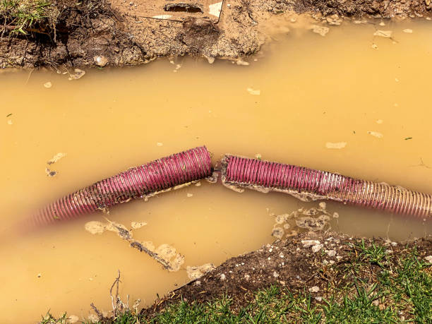 Best Emergency water extraction  in College Park, GA