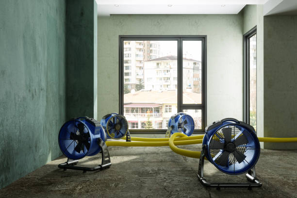 Best Local water damage restoration  in College Park, GA